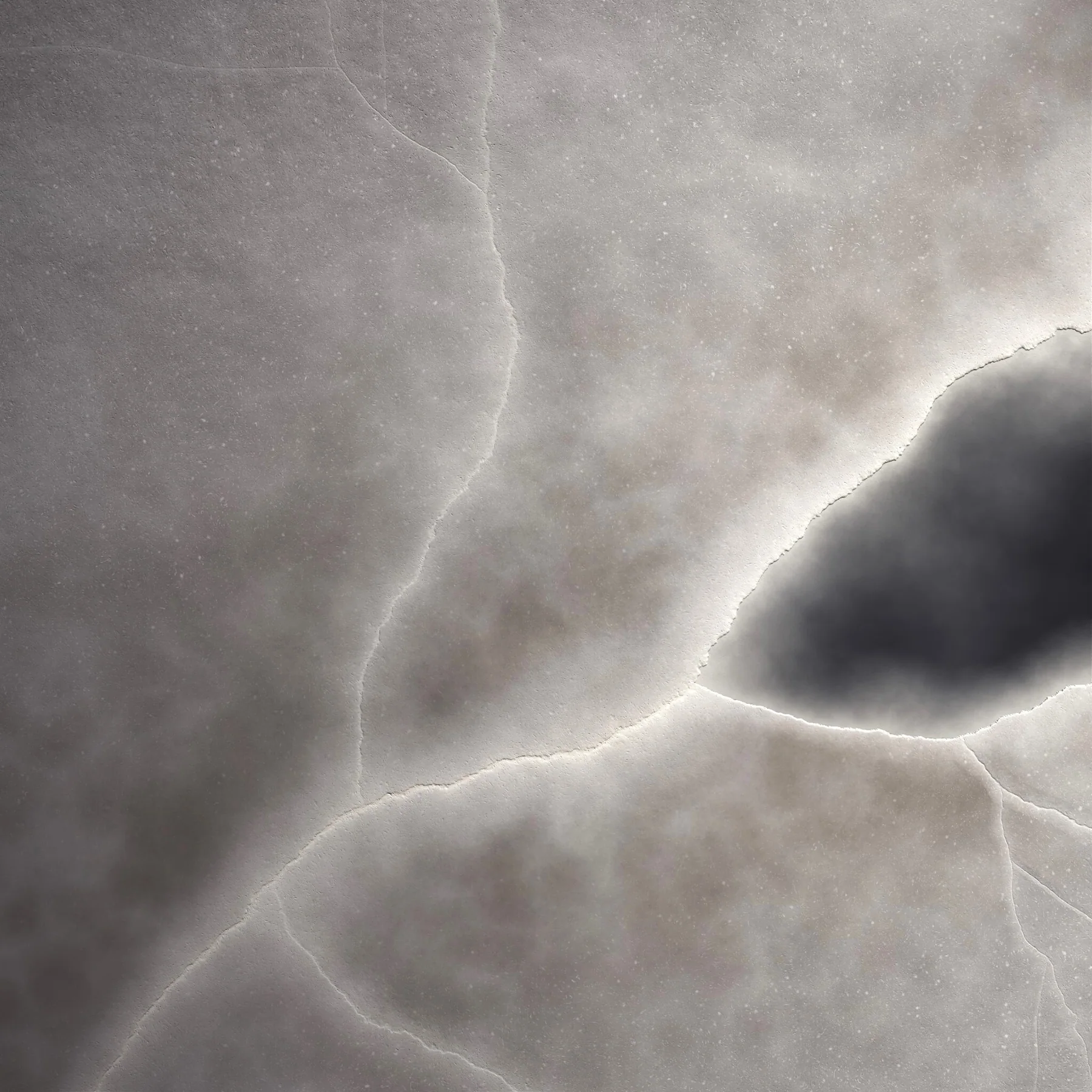 A nearly monochrome procedural surface with cellular seams and a dark recessed opening.
