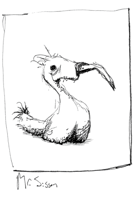 birds-02