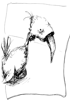 birds-03