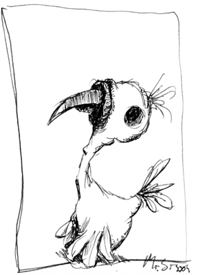 birds-06