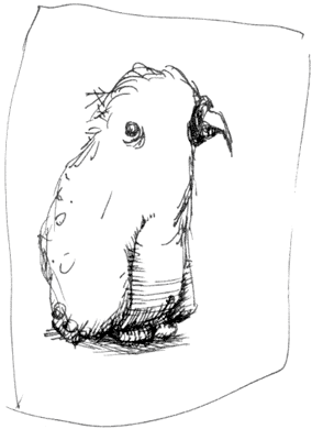 birds-07