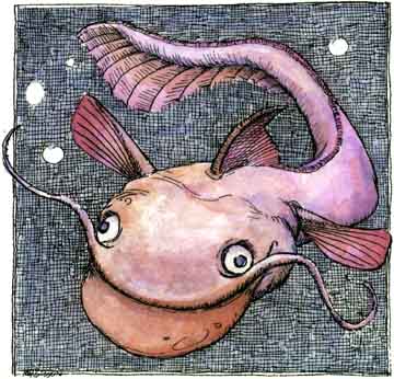 sea_creature-5