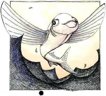 sea_creature-6