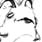 1i-floppy_ears1