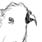 birds-07